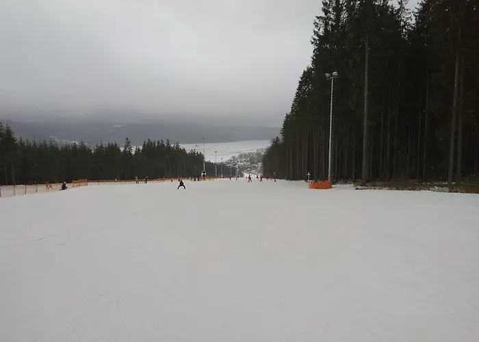 Rodinny Apartman Frymburk U Aquaparku