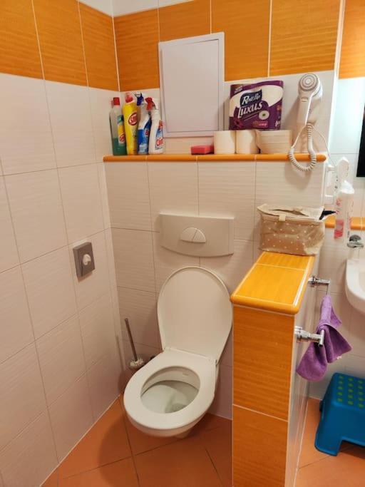 Rodinny U Aquaparku Apartment *